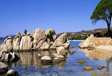 开云体育入口-拉沃尔杯力克ATP总决赛，辛纳扛起全队