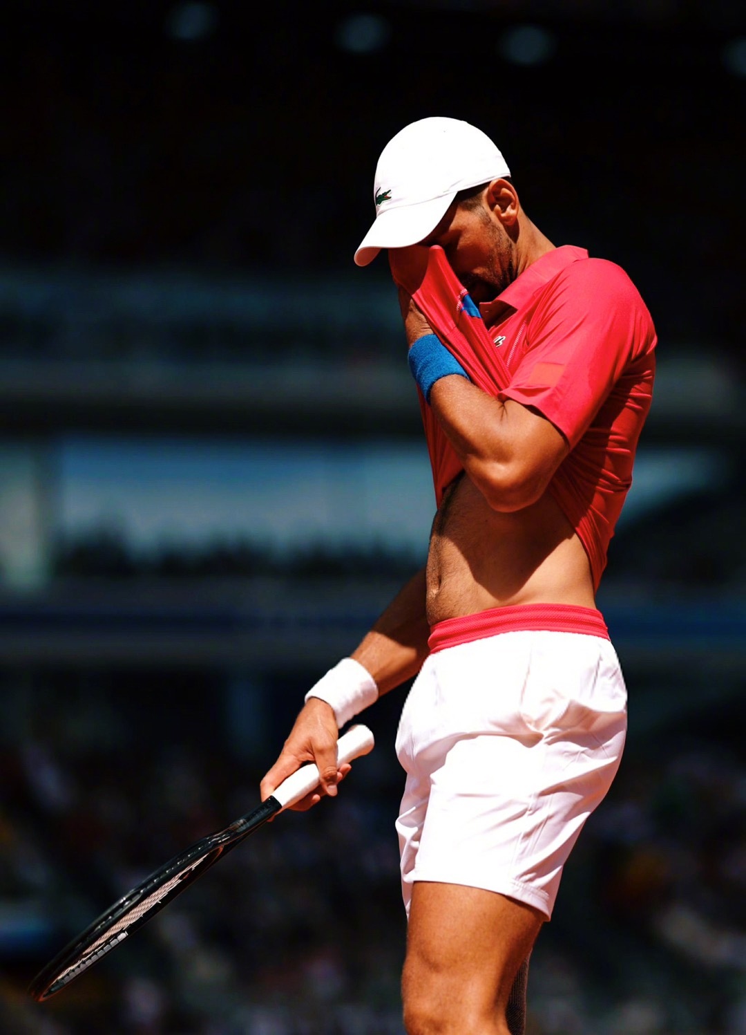 德国网球队力克意大利网球队，德约科维奇绝境逆转的简单介绍