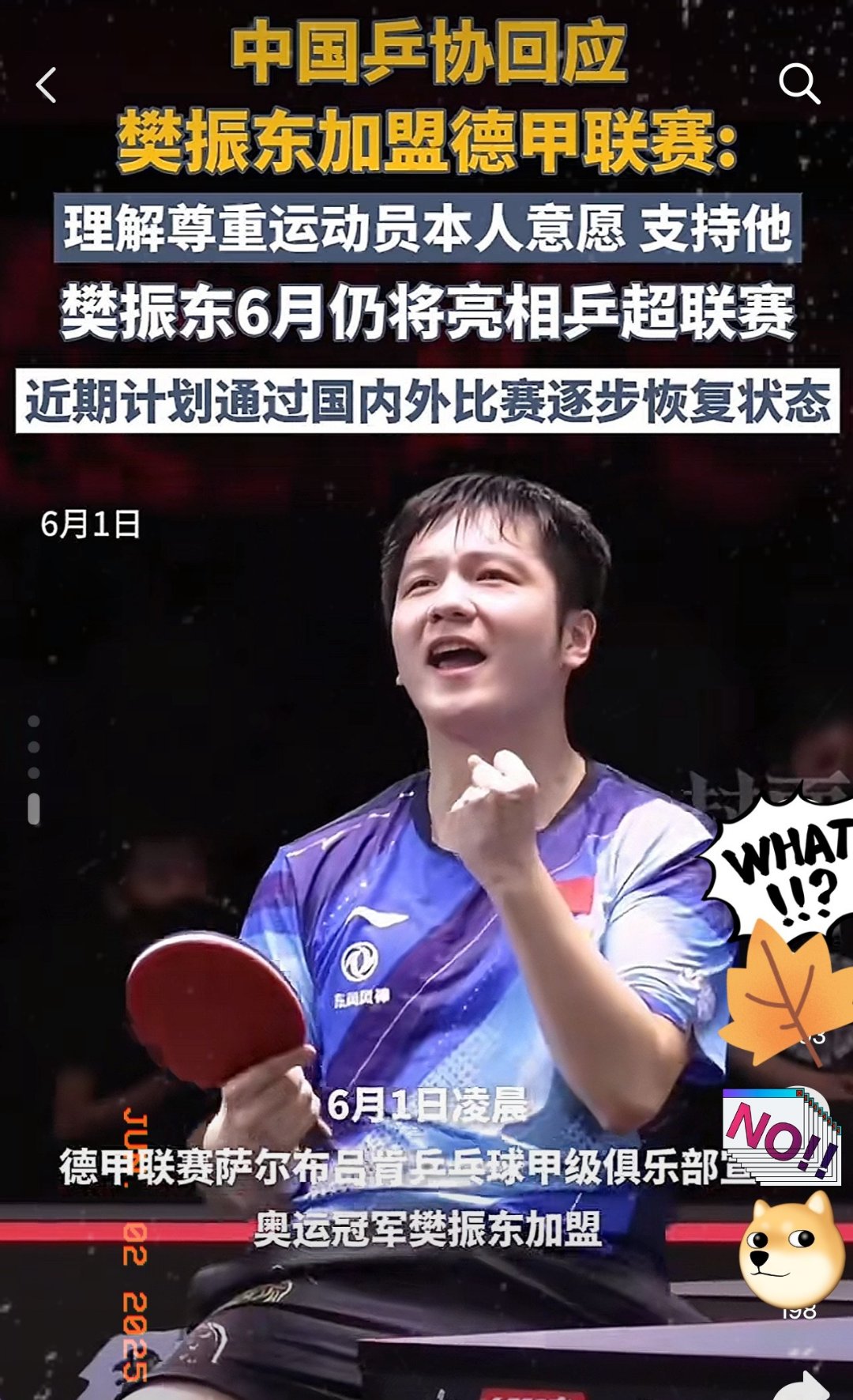 包含波兰乒乓球队绝杀英国乒乓球队，樊振东制霸全场的词条