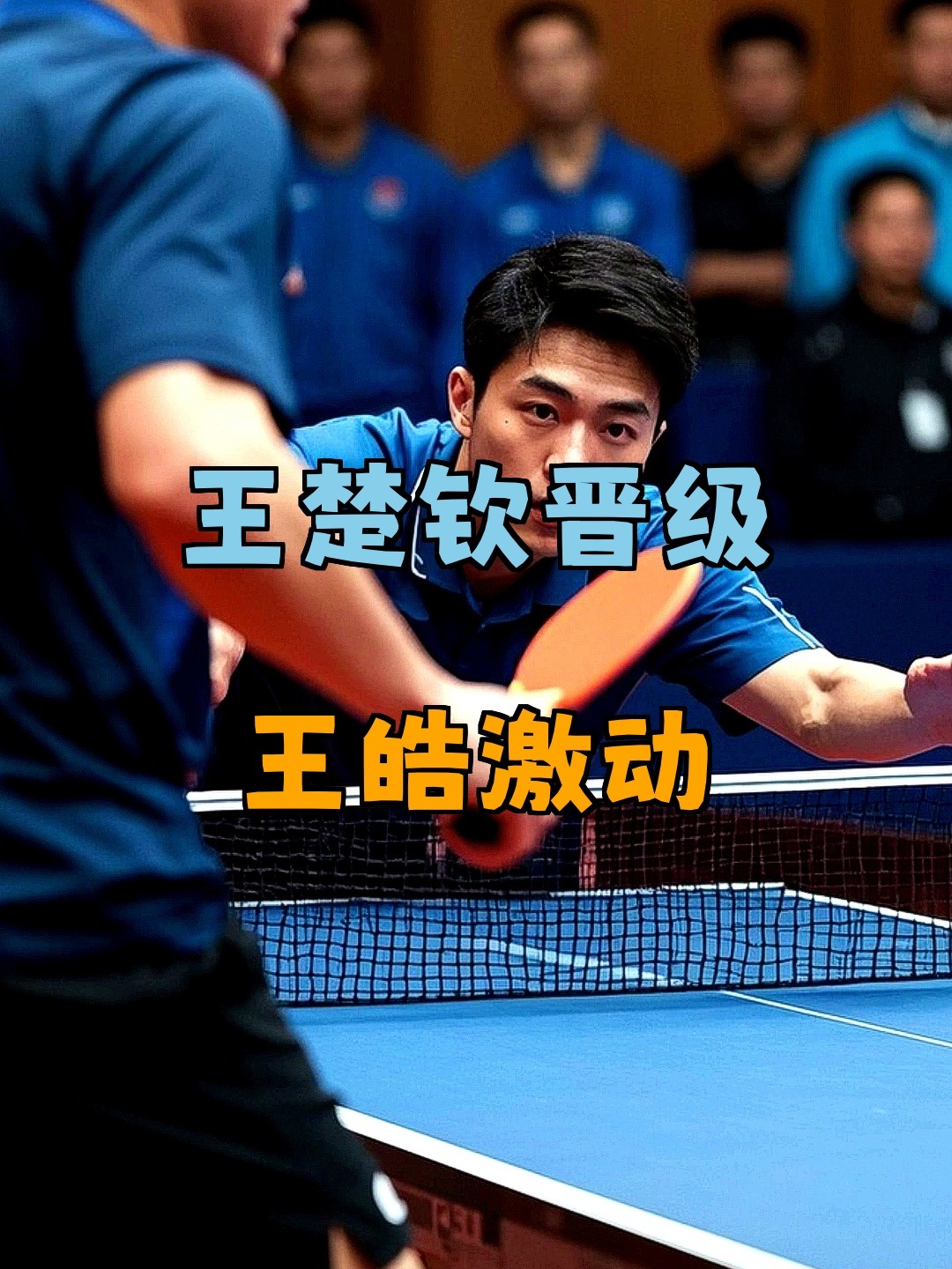 波兰乒乓球队险胜法国乒乓球队，王皓制霸全场的简单介绍
