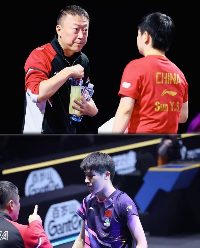 瑞典队碾压日本队,王皓关键制胜 瑞典队碾压日本队,王皓关键制胜