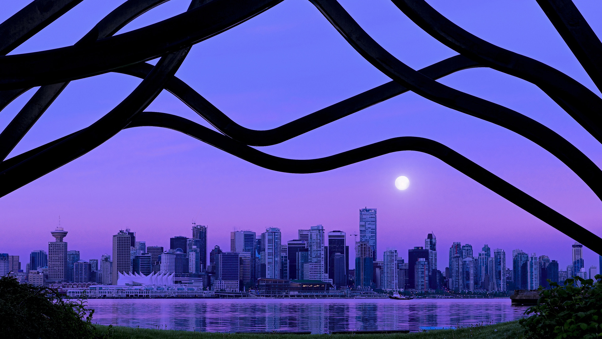 蓝衣与白袍的世纪对望