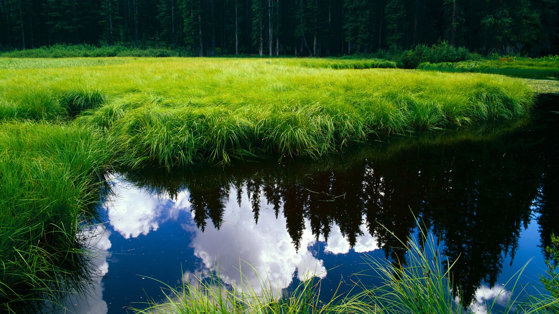 跨界之星，NBA总决赛之夜的意外焦点—金玟哉