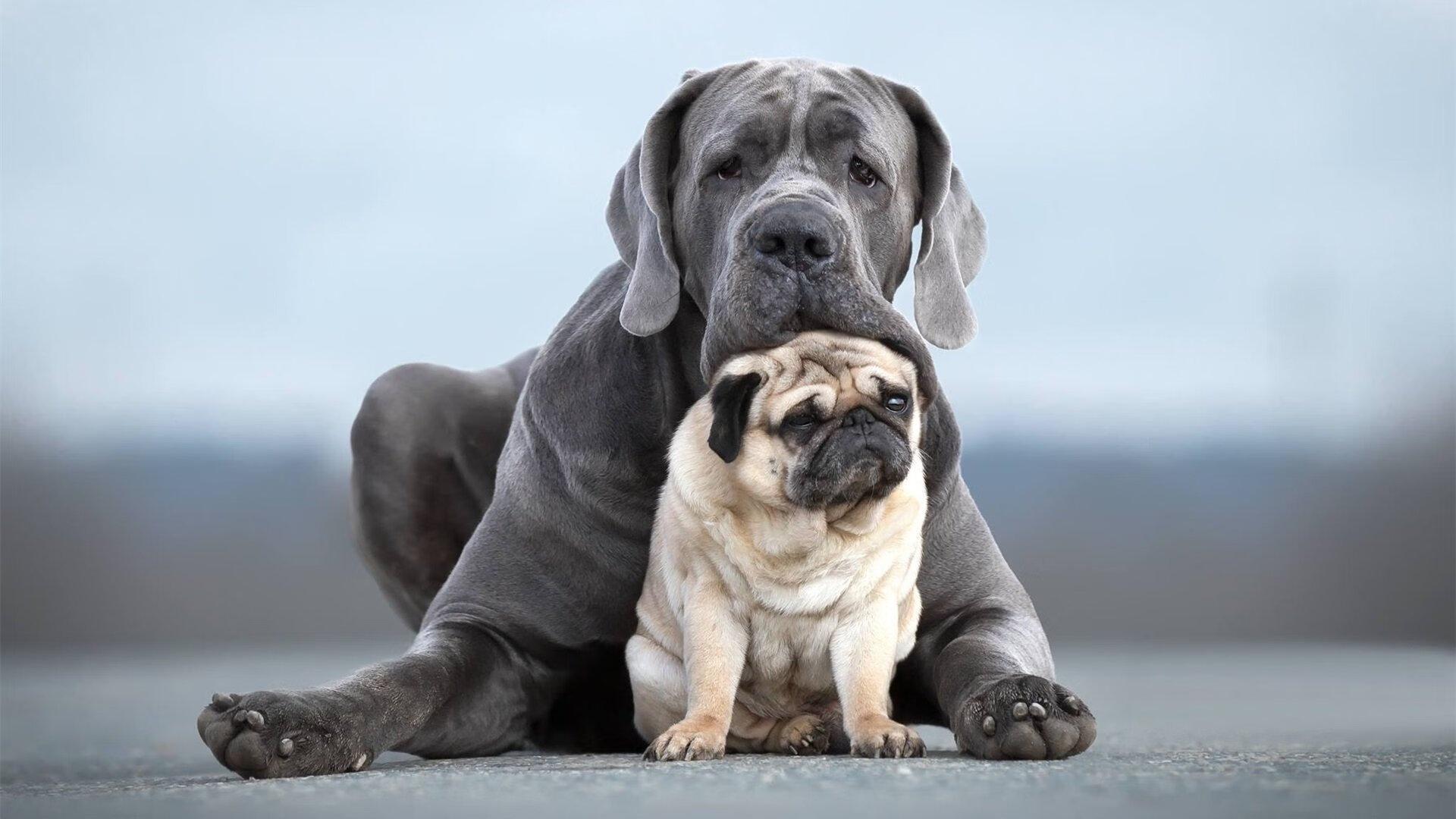 破晓前的璀璨,布克用压制级演出撕碎世界排名迷雾