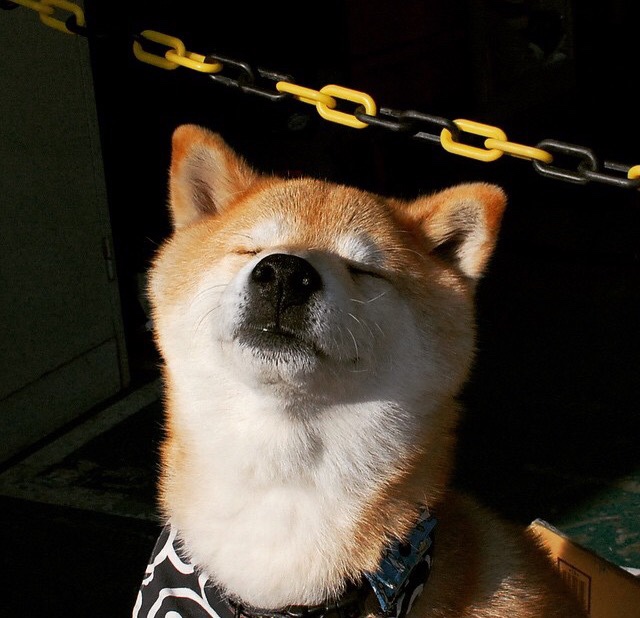 铁壁活塞碾碎鹈鹕双翅，防守绞杀颠覆季后赛格局