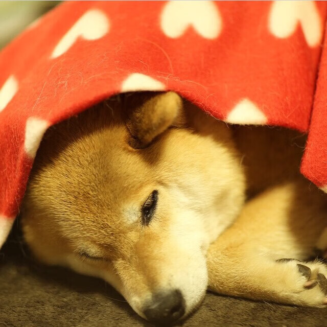 孔德铸盾，当非典型英雄成为皇马凿穿巴黎的终极密钥