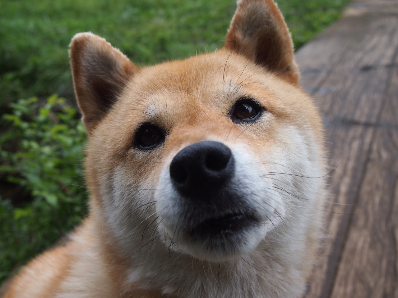 双重舞台，当皇家社会对阵摩纳哥，见证C罗如何完成史诗般的自我救赎