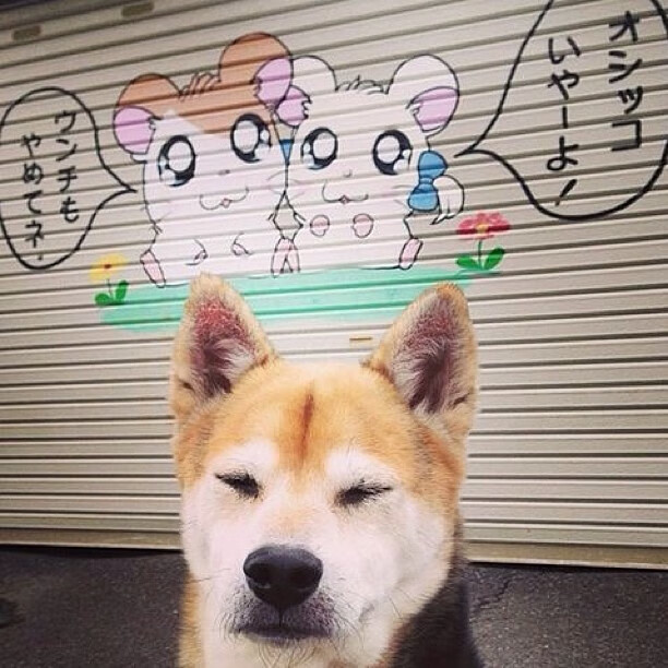 足球双焦点，意甲激战正酣，委内瑞拉绝杀巴拉圭