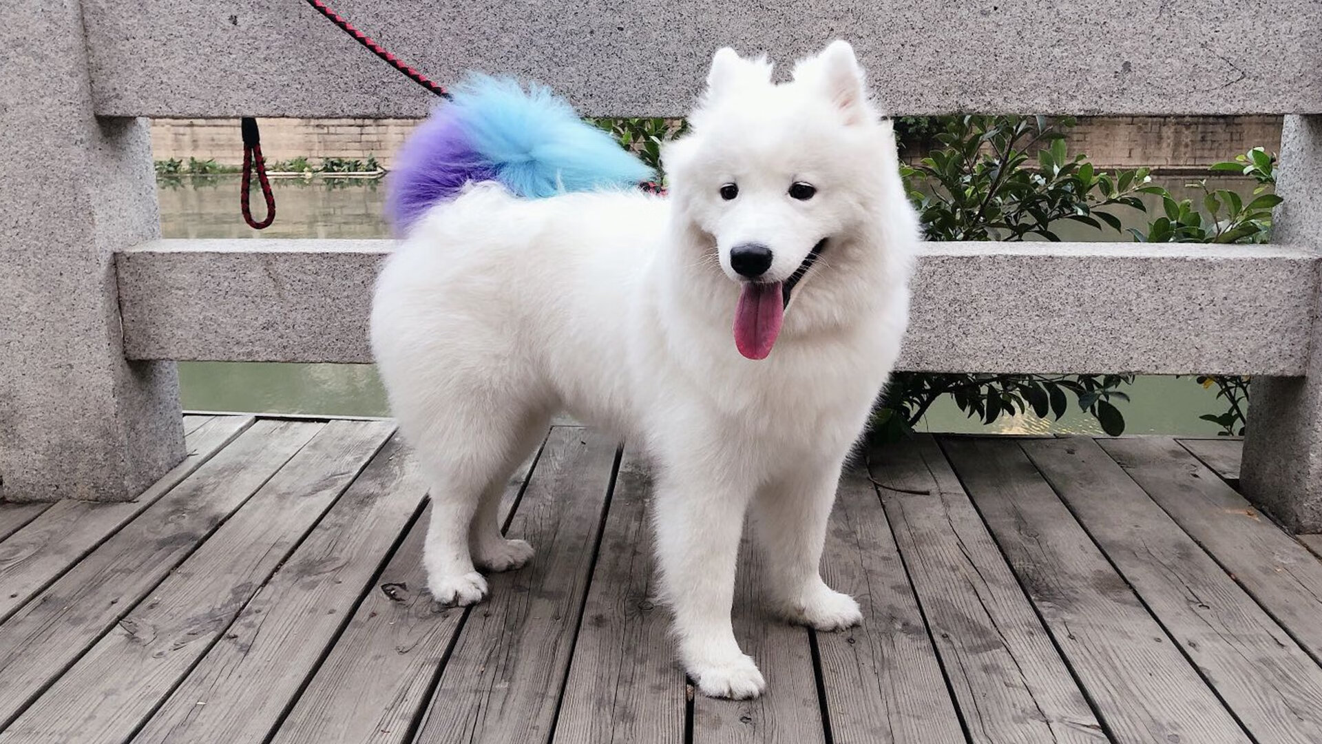 北欧风暴席卷南美，挪威绝境翻盘阿根廷，斯通斯单骑救主惊艳四座