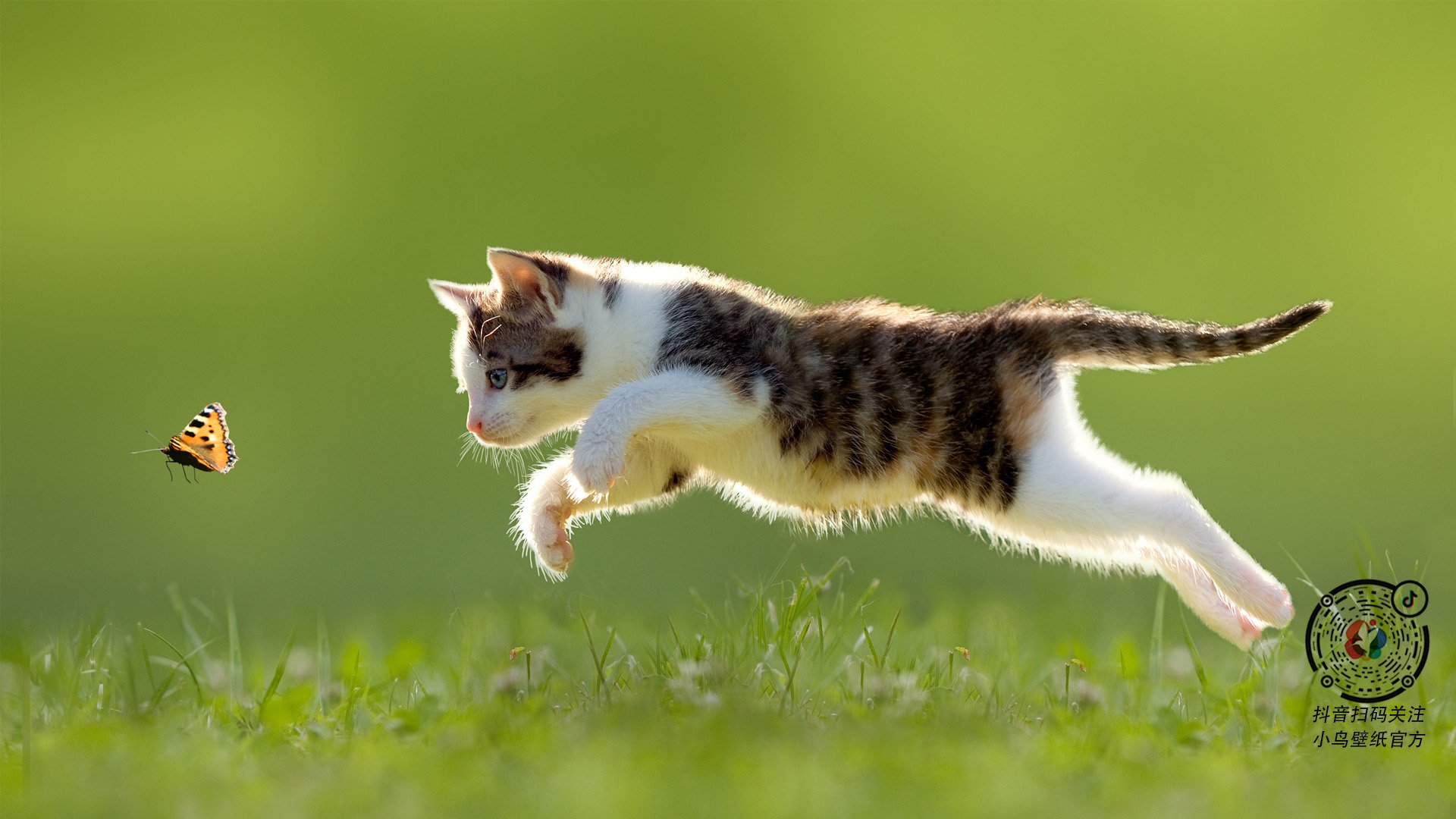 欧洲杯上的无解谜题，西班牙2-1德国，帕尔默如何用双脚改写胜利方程